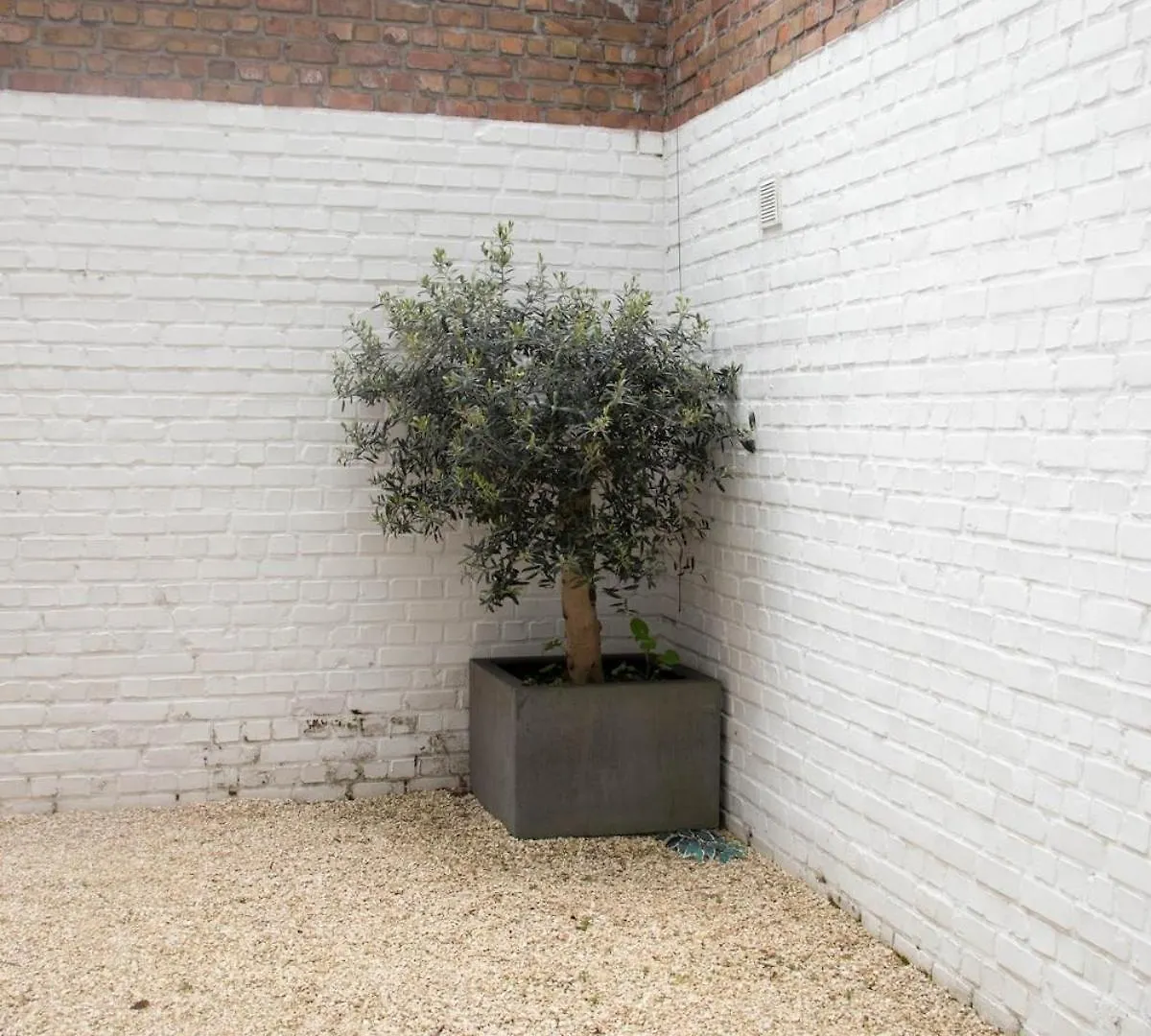 House In Ostend At 5 Min Walk From The Sea بلجيكا